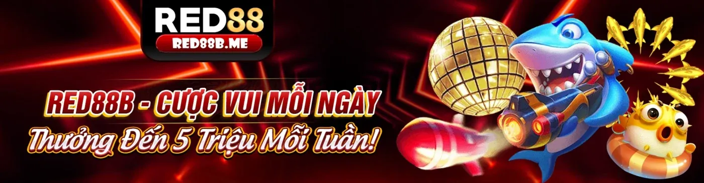 Khuyến mãi hấp dẫn từ kèo bóng đá nhà cái